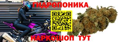 эйфоретик Гусев