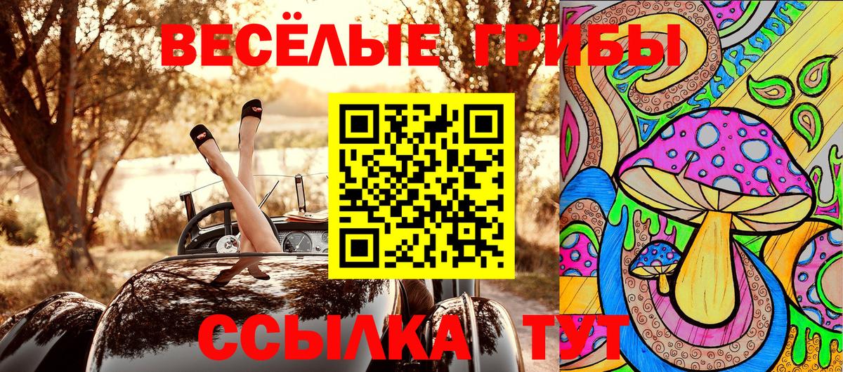 Псилоцибиновые грибы прущие грибы Нижний Новгород